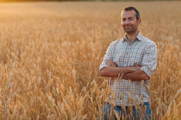 Uomo contadino nel campo di grano al tramonto. Agricoltura e raccolto agricolo, — Foto Stock