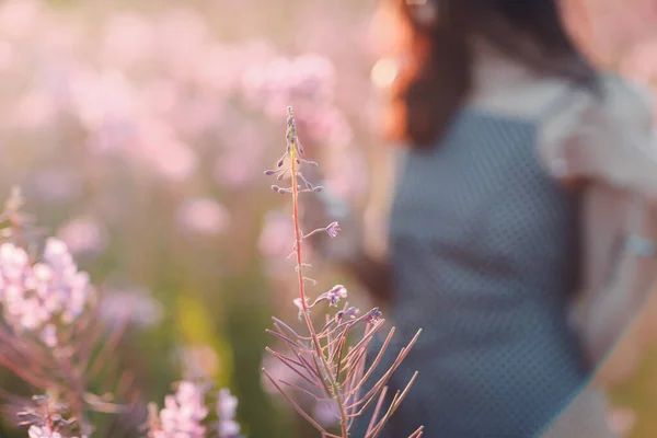 Girl on blooming Sally flower field. Lilac flowers and woman. — Stock Photo, Image