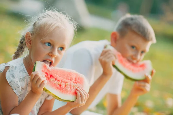 Divertente fratellino e sorellina che mangiano anguria nel parco. Ragazzo e ragazza felici insieme. Infanzia, Famiglia, Dieta sana Concetto. — Foto Stock