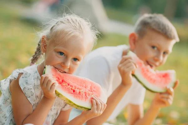 Divertente fratellino e sorellina che mangiano anguria nel parco. Ragazzo e ragazza felici insieme. Infanzia, Famiglia, Dieta sana Concetto. — Foto Stock