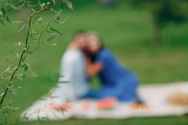 若いです大人女性と男カップルピクニックで緑草草原で公園ぼやけた背景. — ストック写真