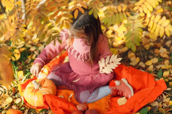 Cute little girl w jesiennym parku z pomarańczowymi liśćmi i żółtą dynią. — Zdjęcie stockowe