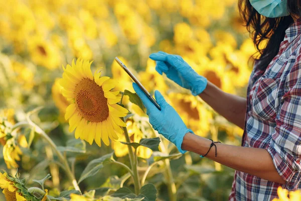 Woman farmer agronomist in gloves and face mask at sunflower field with tablet checking harvest — Stock Photo, Image