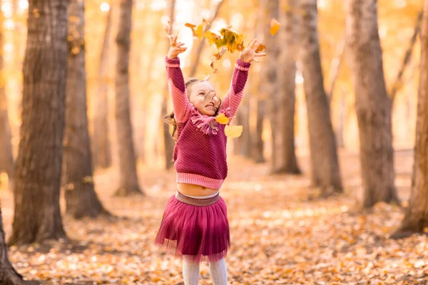 Cute little girl w jesiennym parku z pomarańczowym i żółtym kolorze liści — Zdjęcie stockowe