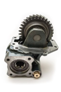 sandalyeler ve yeşil çimen