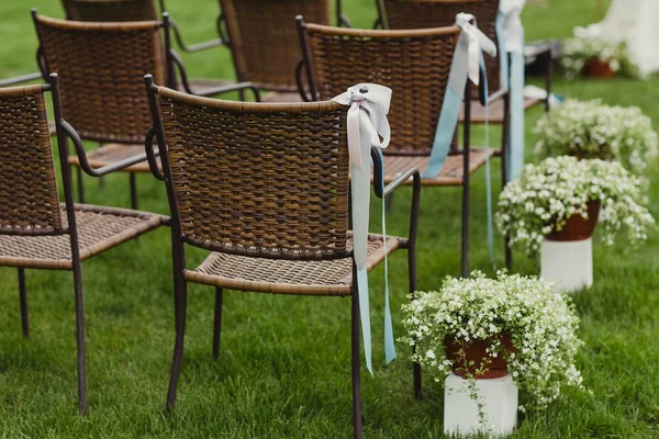 Cadeiras e grama verde — Fotografia de Stock