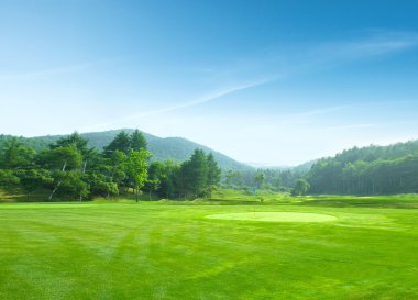 Mavi gökyüzü ve otlak.