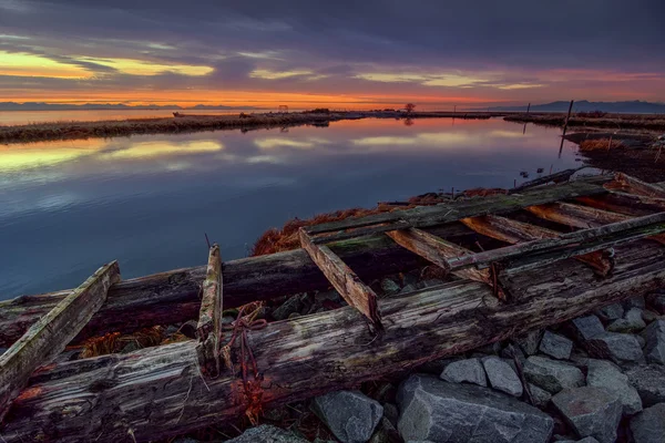 Decaying wood on the riverbank — Stock Photo, Image