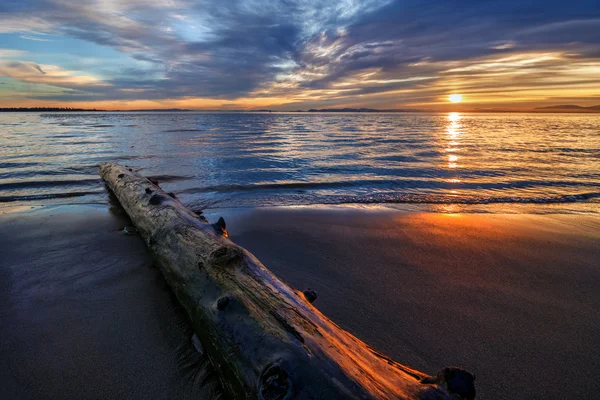 Meld u aan het strand bij zonsondergang — Stockfoto