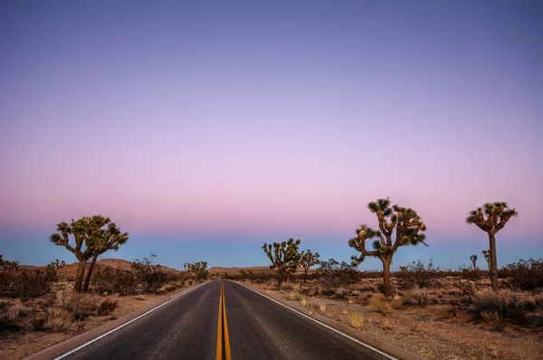 Driving through the desert — Stock Photo, Image