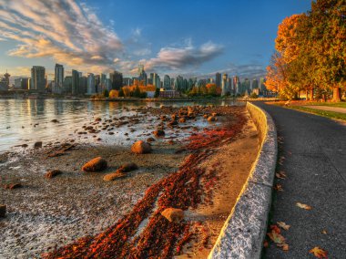 Vancouver panorama from sea clipart