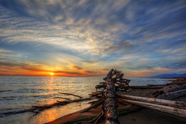 Sakin sahilde günlükleri