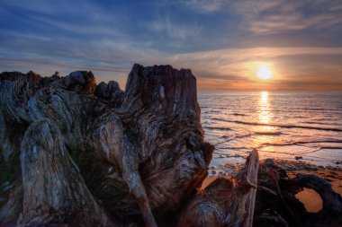 güzel sakin su ve günbatımı