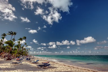 Turkuaz beach ve palmiye ağaçları