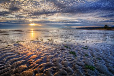 Uğursuz okyanus plaj gündoğumu