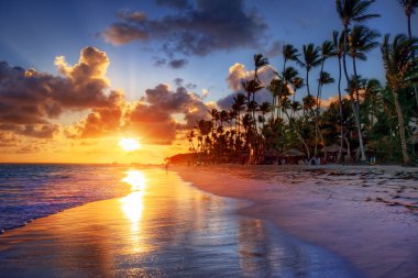 ocean beach sunrise clipart