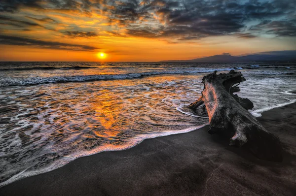 Log on the beach during sunset — Stock Photo, Image