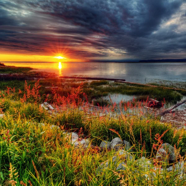 Herrlicher Sonnenuntergang über dem grasbewachsenen und felsigen Ufer — Stockfoto