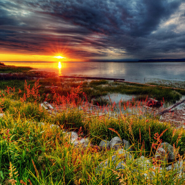 Glorious sunset over grassy and rocky shore