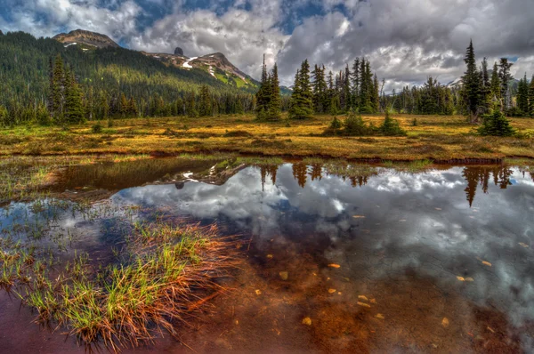 Clear lake, pine trees and mountains — Stock Photo, Image