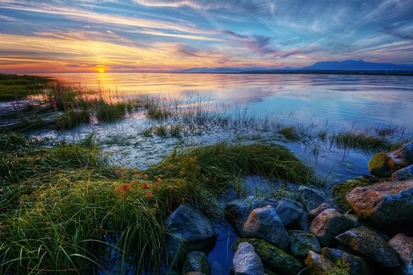 Härlig solnedgång över gräsbevuxna och stenig strand — Stockfoto