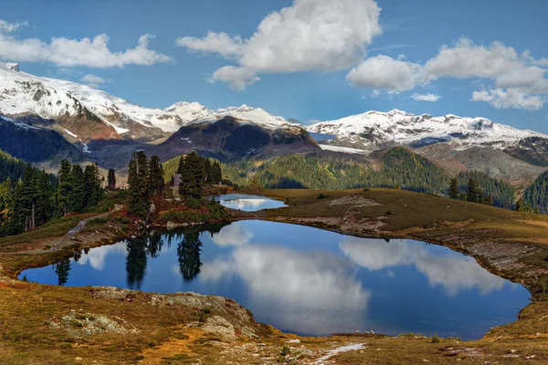 Heldere meer, pijnbomen en bergen — Stockfoto