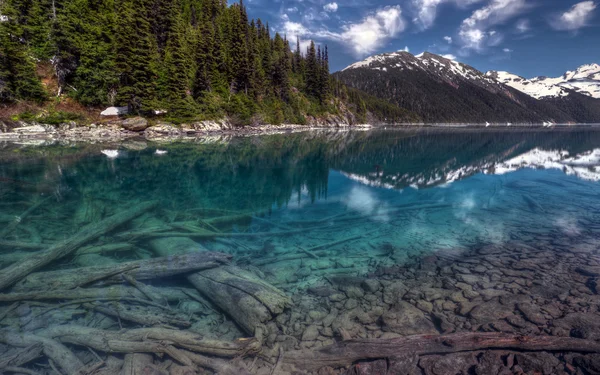 Clear lake, pine trees and mountains — Stock Photo, Image