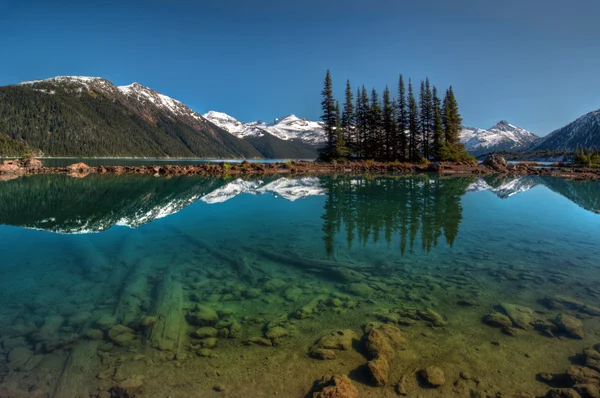 Lago claro, pinos y montañas — Foto de Stock