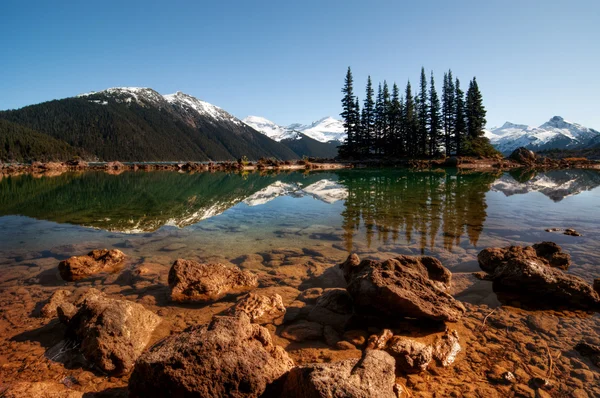 Σαφής λίμνη, πεύκα και βουνά — Φωτογραφία Αρχείου