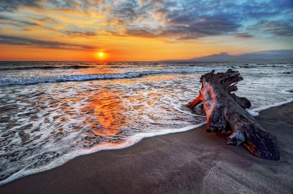 Spiaggia sabbiosa al tramonto — Foto Stock