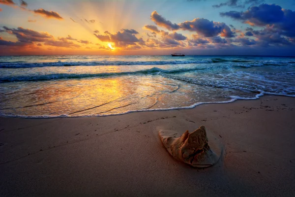 Sunset over an ocean beach shore — Stock Photo, Image