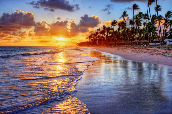 Complejo junto a la playa con palmeras — Foto de Stock