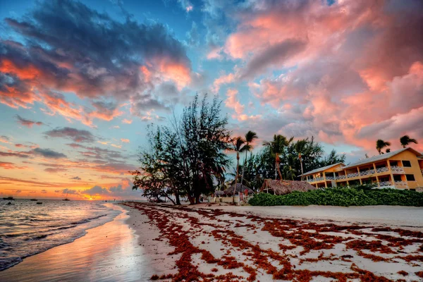 Strand resort met palmbomen — Stockfoto
