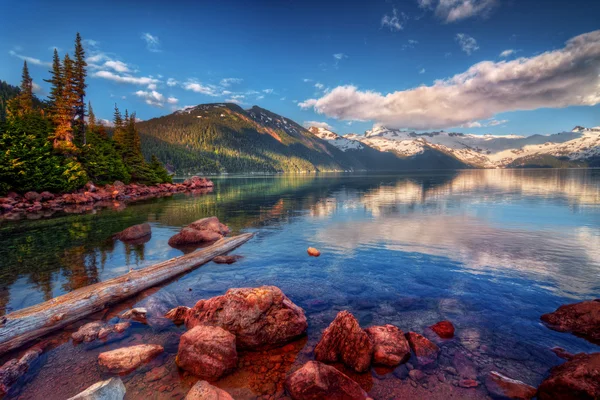 Sunken logs in mountain lake — Stock Photo, Image