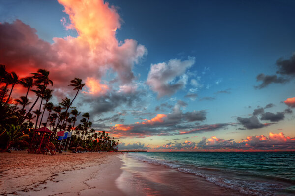 beach-side resort with palm trees