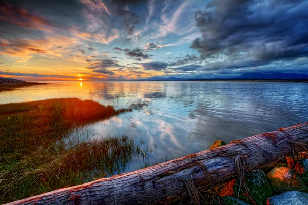 Rustige kleurrijke rivier zonsondergang met log — Stockfoto