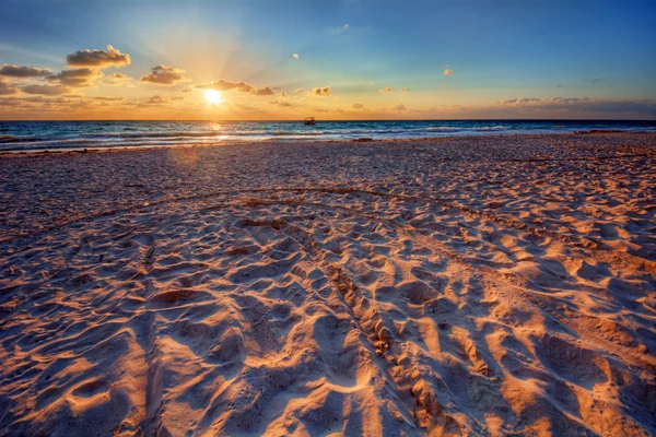 Sable foulé sur une plage océanique — Photo