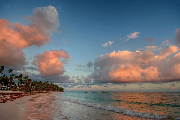 Palm trees on sandy beach — Stock Photo, Image