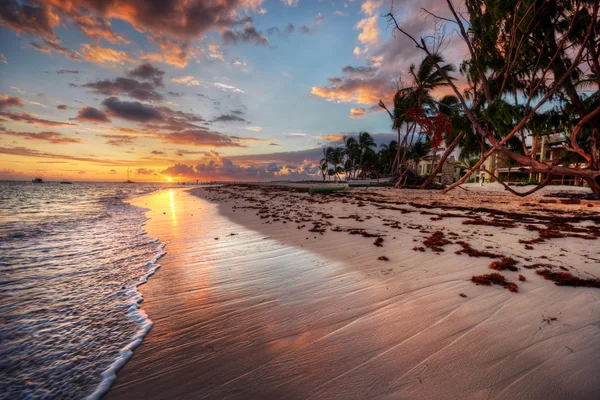 Beach-side resort with palm trees — Stock Photo, Image