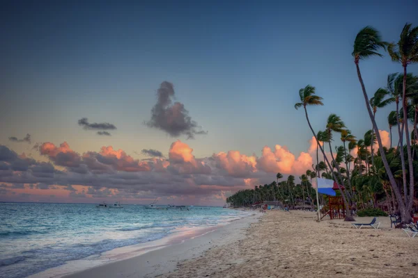 Palmbomen op zandstrand — Stockfoto