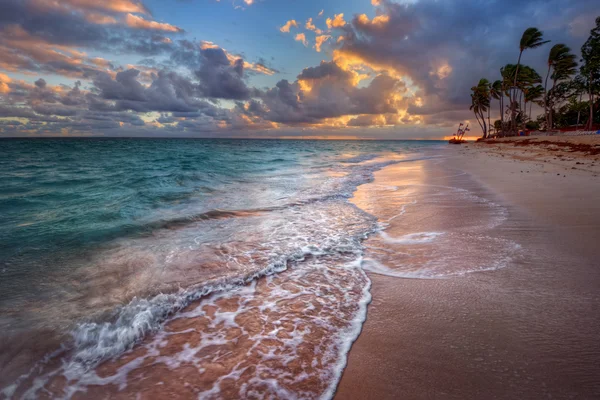 Pálmafákkal szegélyezett, homokos strand — Stock Fotó