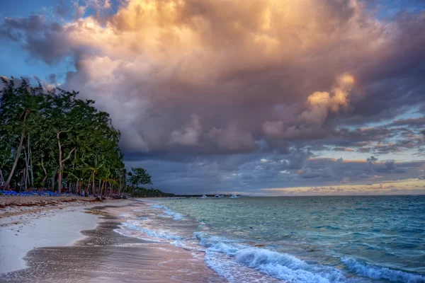 Palmetrær på sandstrand – stockfoto