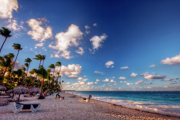 Бірюзовий пляж і пальми — стокове фото
