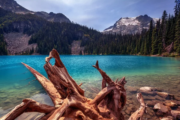 Turquoise glacial lake, — Stock Photo, Image