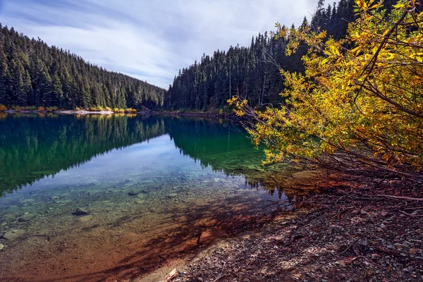 Lago limpido, pini e montagne — Foto Stock