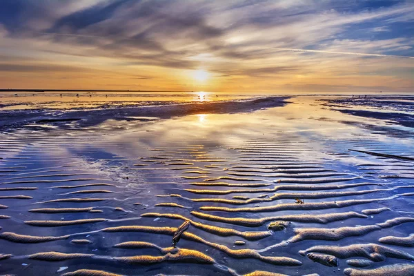 Courbes sur le sable au coucher du soleil — Photo