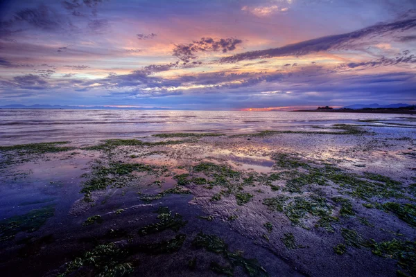 Dusty pink morning — Stock Photo, Image