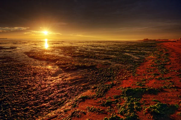 Herrlicher Sonnenaufgang über der Küste — Stockfoto