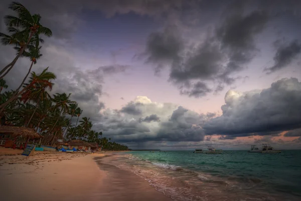 Palmen und Sandstrand — Stockfoto