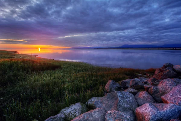 Grass along a river at sunset — Stock Photo, Image